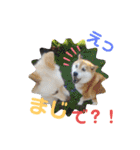 <ʓみちゃんのきゃわいいスタンプ押忍その2（個別スタンプ：18）