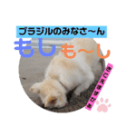 <ʓみちゃんのきゃわいいスタンプ押忍その2（個別スタンプ：26）