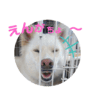 <ʓみちゃんのきゃわいいスタンプ押忍その2（個別スタンプ：30）