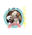 モコココナナの可愛いスタンプ（個別スタンプ：2）