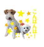 モコココナナの可愛いスタンプ（個別スタンプ：4）