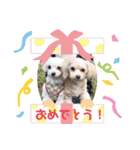 モコココナナの可愛いスタンプ（個別スタンプ：15）