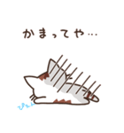 広島弁ねこ（方言シリーズ）（個別スタンプ：8）