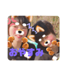 府所ファイターズのスタンプ（個別スタンプ：21）