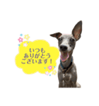 イタグレLIFE☆（個別スタンプ：4）