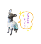 イタグレLIFE☆（個別スタンプ：5）