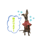 イタグレLIFE☆（個別スタンプ：6）