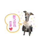 イタグレLIFE☆（個別スタンプ：8）
