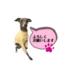 イタグレLIFE☆（個別スタンプ：9）