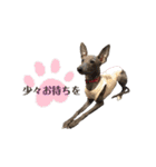 イタグレLIFE☆（個別スタンプ：17）