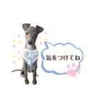 イタグレLIFE☆（個別スタンプ：18）