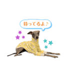 イタグレLIFE☆（個別スタンプ：19）