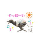 イタグレLIFE☆（個別スタンプ：22）