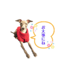 イタグレLIFE☆（個別スタンプ：27）