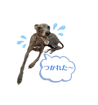 イタグレLIFE☆（個別スタンプ：28）