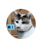 仙台にゃんこ城 にゃらver.（個別スタンプ：5）