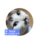 仙台にゃんこ城 にゃらver.（個別スタンプ：7）