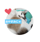 仙台にゃんこ城 にゃらver.（個別スタンプ：8）