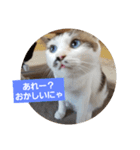 仙台にゃんこ城 にゃらver.（個別スタンプ：9）