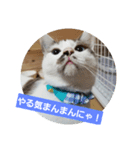 仙台にゃんこ城 にゃらver.（個別スタンプ：10）