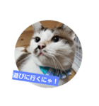 仙台にゃんこ城 にゃらver.（個別スタンプ：12）