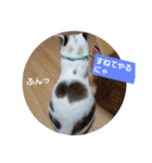 仙台にゃんこ城 にゃらver.（個別スタンプ：13）
