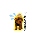 犬のご挨拶スタンプmini（個別スタンプ：8）