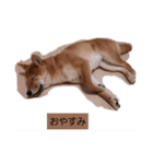 可愛いゆきの（個別スタンプ：3）