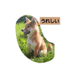 可愛いゆきの（個別スタンプ：5）