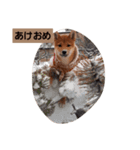 可愛いゆきの（個別スタンプ：6）