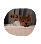 可愛いゆきの（個別スタンプ：7）