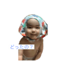 こんこんだよー（個別スタンプ：1）