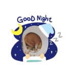 うちのこむぎんちょ（個別スタンプ：5）