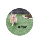 チョロすけ〇（個別スタンプ：4）