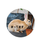 チョロすけ〇（個別スタンプ：6）