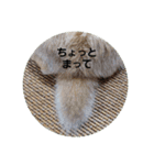 チョロすけ〇（個別スタンプ：11）