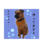(Oli)オリの日常（個別スタンプ：2）