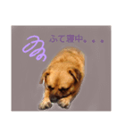 (Oli)オリの日常（個別スタンプ：3）