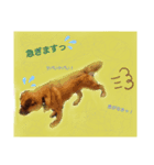 (Oli)オリの日常（個別スタンプ：8）