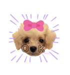 タレ目のテディさん♡（個別スタンプ：4）