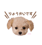タレ目のテディさん♡（個別スタンプ：13）