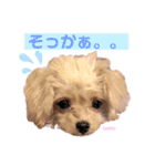タレ目のテディさん♡（個別スタンプ：18）