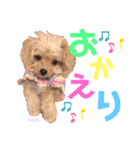 タレ目のテディさん♡（個別スタンプ：21）