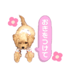 タレ目のテディさん♡（個別スタンプ：23）