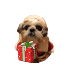 はじめてのクリスマル（個別スタンプ：2）