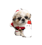 はじめてのクリスマル（個別スタンプ：3）