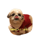 はじめてのクリスマル（個別スタンプ：4）