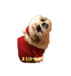 はじめてのクリスマル（個別スタンプ：5）