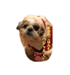 はじめてのクリスマル（個別スタンプ：7）