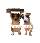 かよこの仲間たち（個別スタンプ：7）